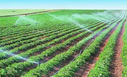男女互搞天天视频免费农田高 效节水灌溉